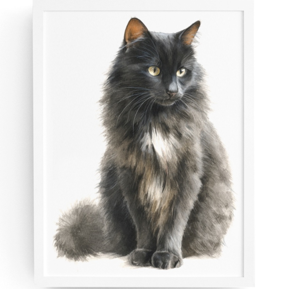 Watercolor Siberian Black Cat Art Print Illustartion - Pet Portrait - Unframed